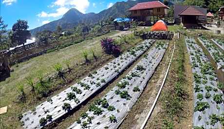 Bale Sembahulun Cottages and Tent