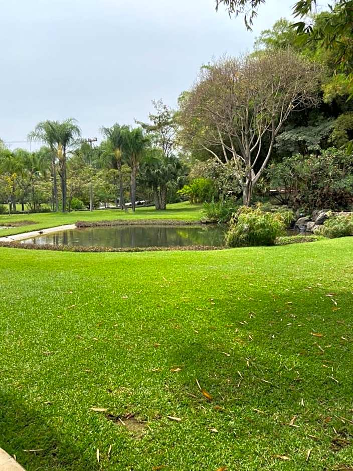 Huayacán Cuernavaca Curamoria Collection