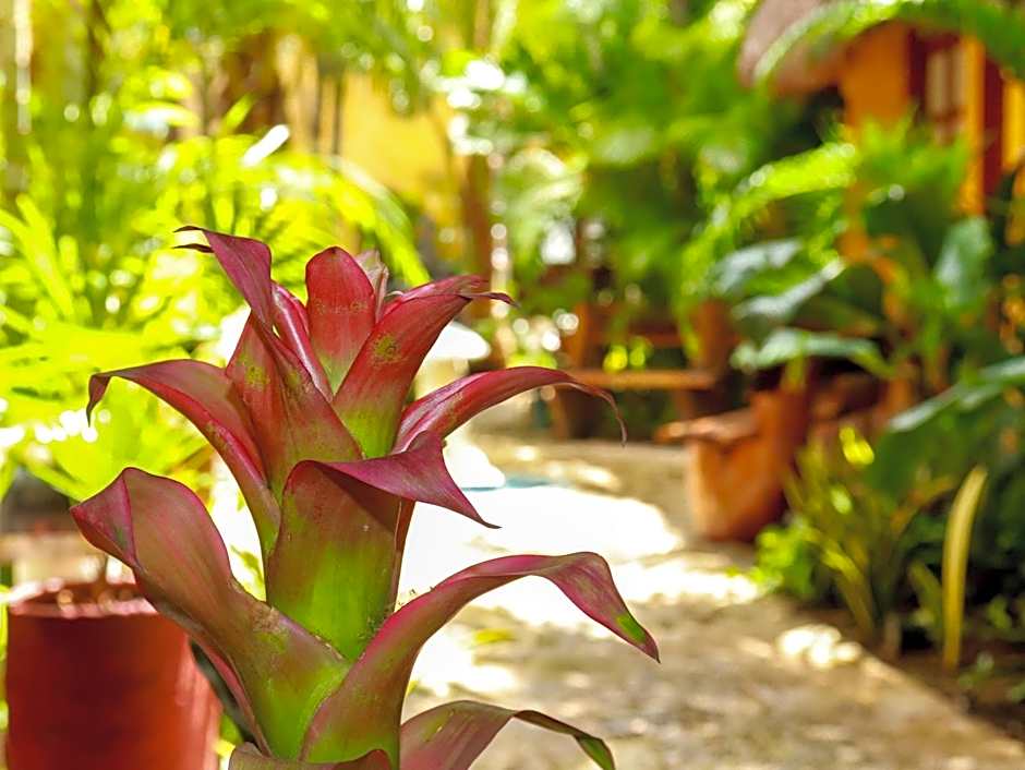 Hotel Bosque Caribe, 5th Av. Zone