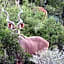 Kudu Ridge Game Lodge