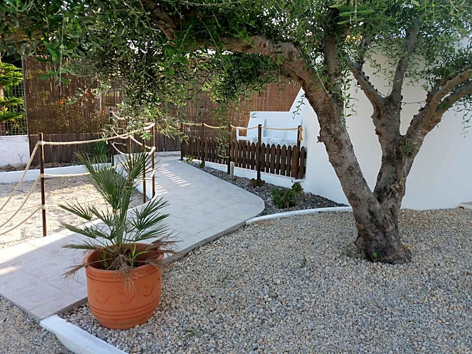 Delphini Studios - for the disabled