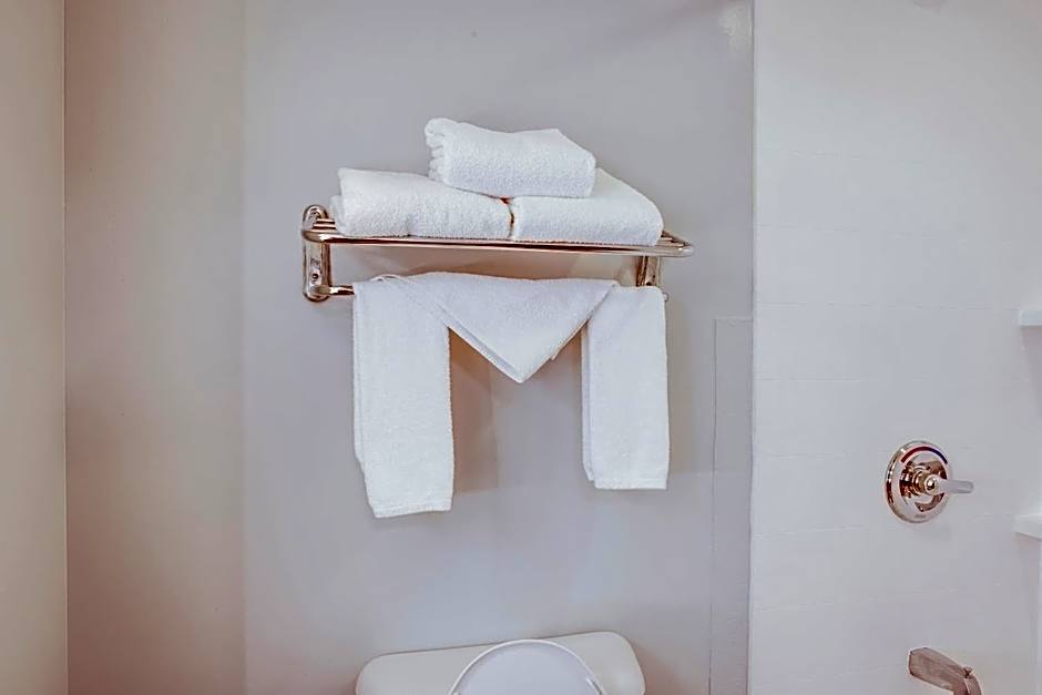 Holiday Inn Express Hotel & Suites Columbus OSU-Medical Center By IHG