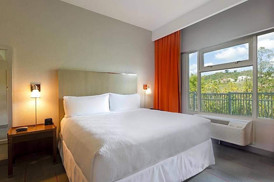Four Points By Sheraton Caguas Real Hotel & Casino