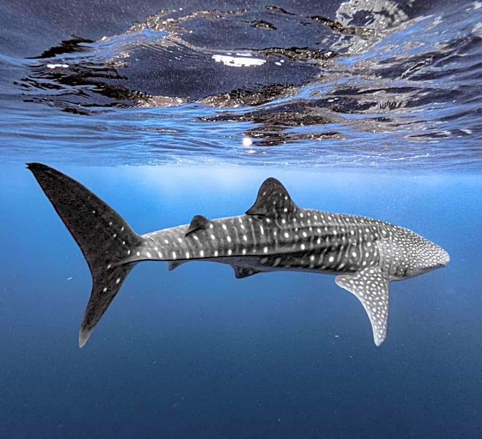 Raalhu Fonu Maldives