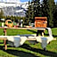 Coeur de Megève