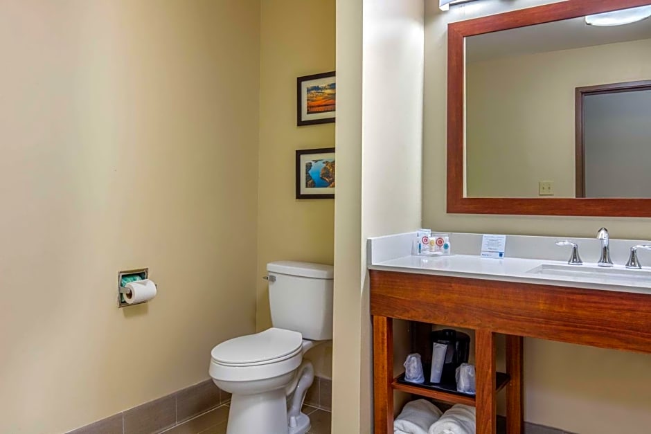 Comfort Inn & Suites Mccomb
