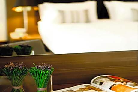 Double Room with Balcony (2 Adults + 1 Child)