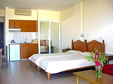 Standard Studio Apartment