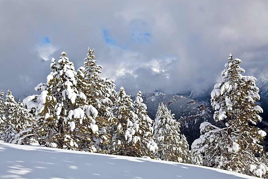 Hotel Del Pui by Nexta