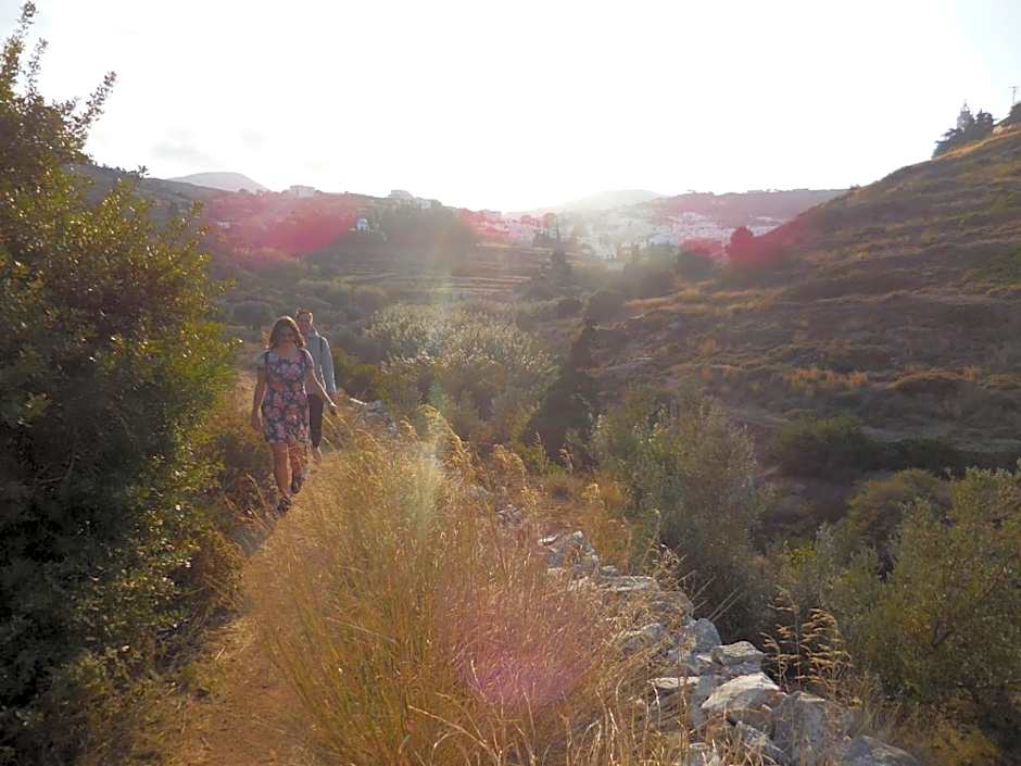 Aliki Panorama Rooms -breakfast included-