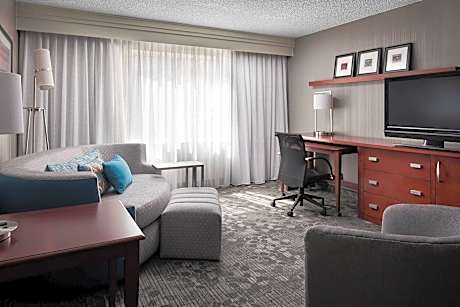 Room, 1 King Bed with Sofa bed (Mobility/Hearing Accessible, Tub) (1 King Bed and 1 Double Sofa Bed)