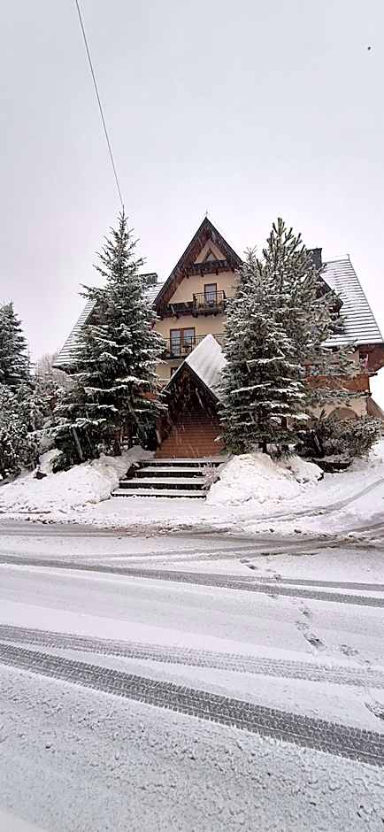 Willa u Kośle Zakopane sauna i bilard