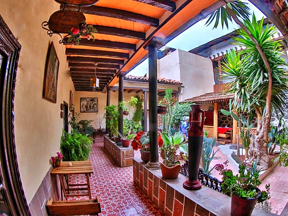 Hotel del Carmen