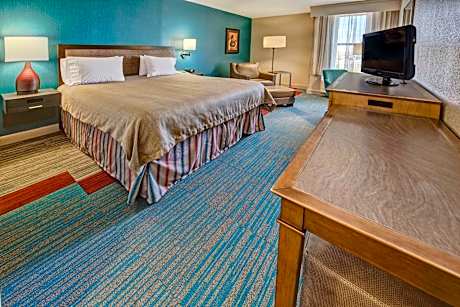 King Room with King Bed - Non-Smoking