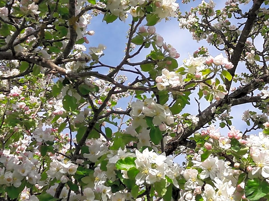 Biobauernhof Obereck