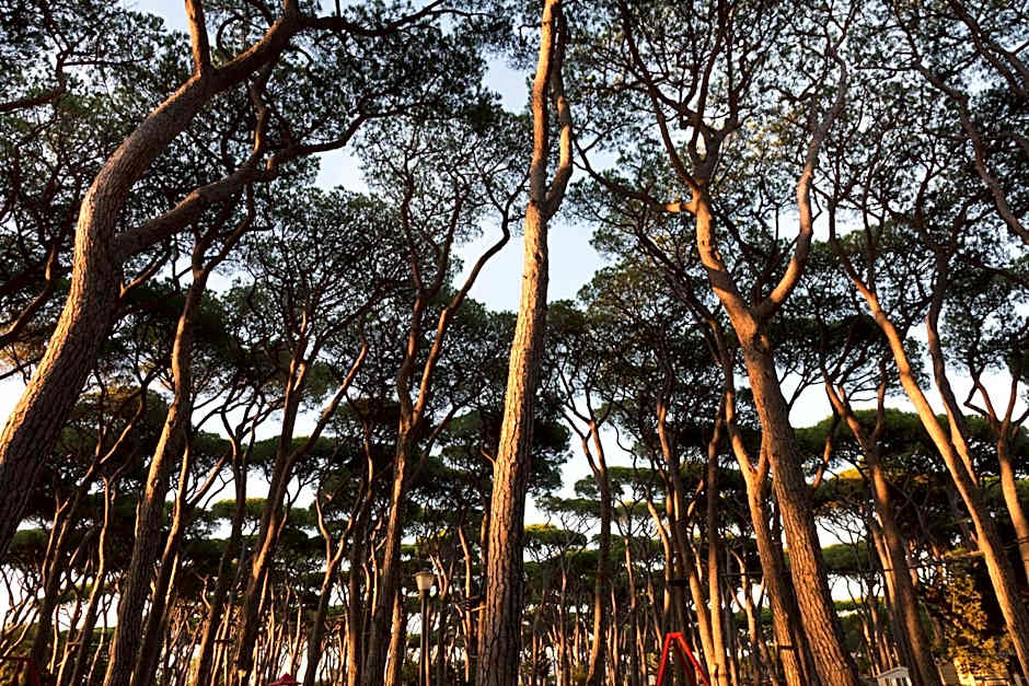 hu Park Albatros village