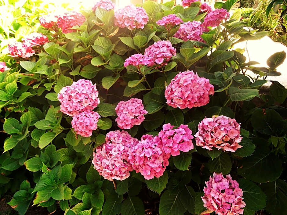 Villa La Clef Des Champs