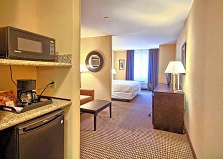 1 King Bed, Suite, Nonsmoking