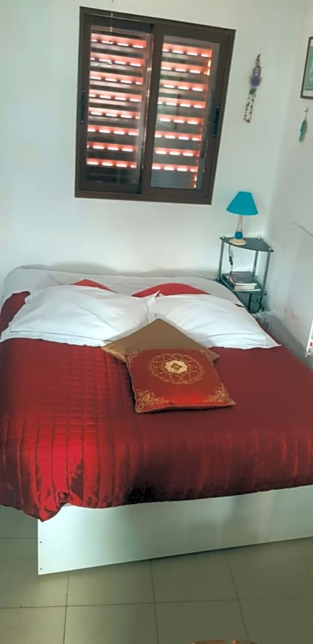 Branca Gonçalves Belmonte