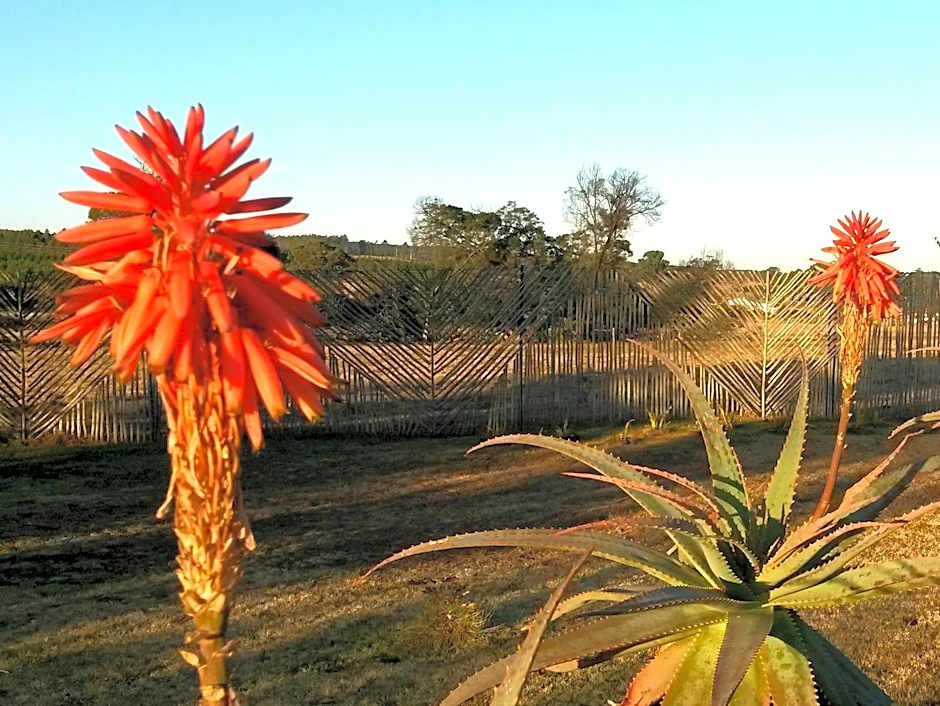 African Flair Country Lodge