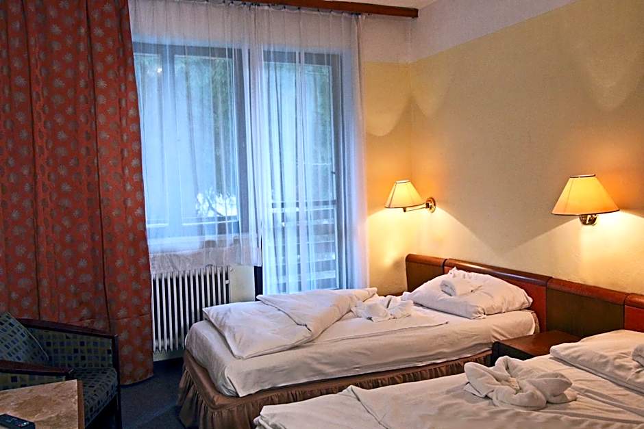 Hotel Medlov Depandance