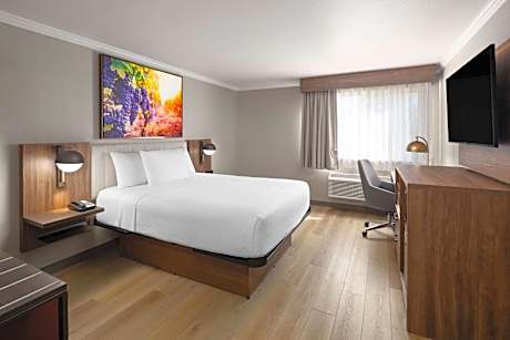 Queen Room with Roll-In Shower - Mobility Accessible/Non-Smoking