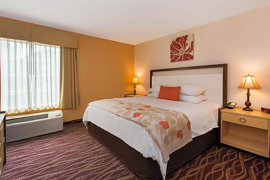 Hawthorn Suites by Wyndham Allentown-Fogelsville