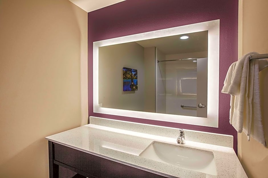 La Quinta Inn & Suites by Wyndham Dallas Northeast - Arboretum