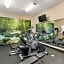 Best Western Franklin Town Center Hotel & Suites