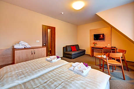 Superior Double or Twin Room
