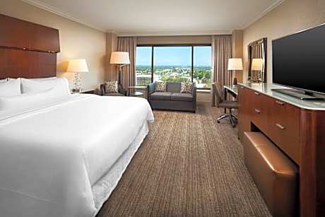 Guest room, 1 King, Park view