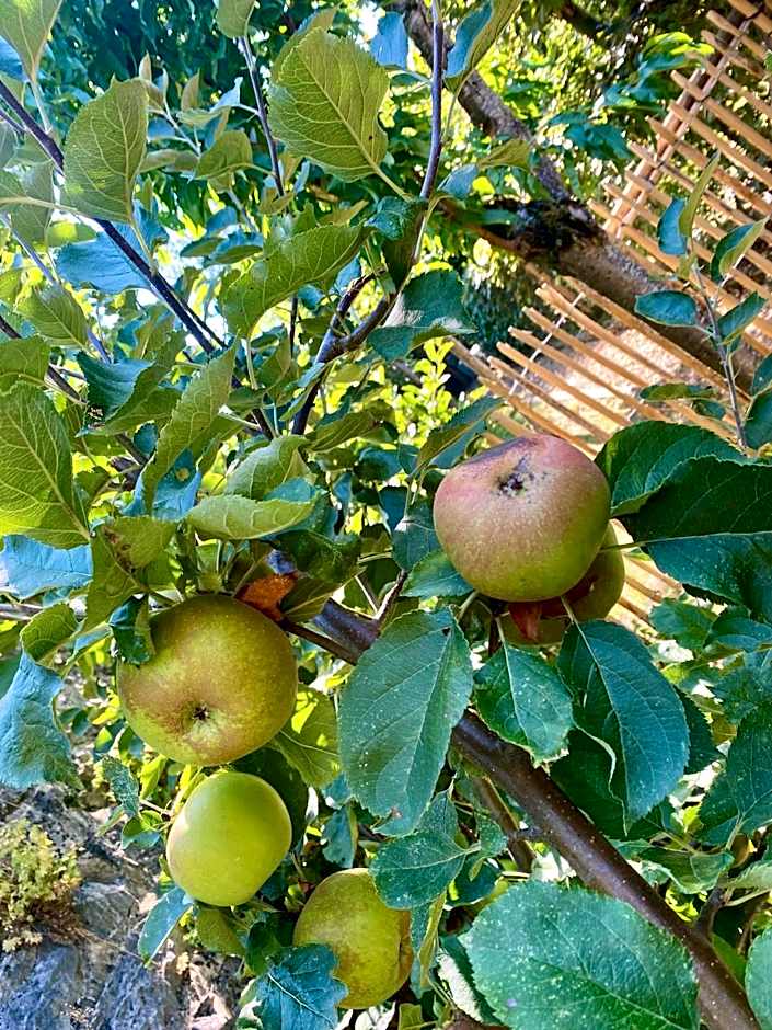 Hôtel VCB Ciney Centre-ville