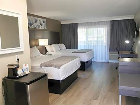 King Room - Non-Smoking