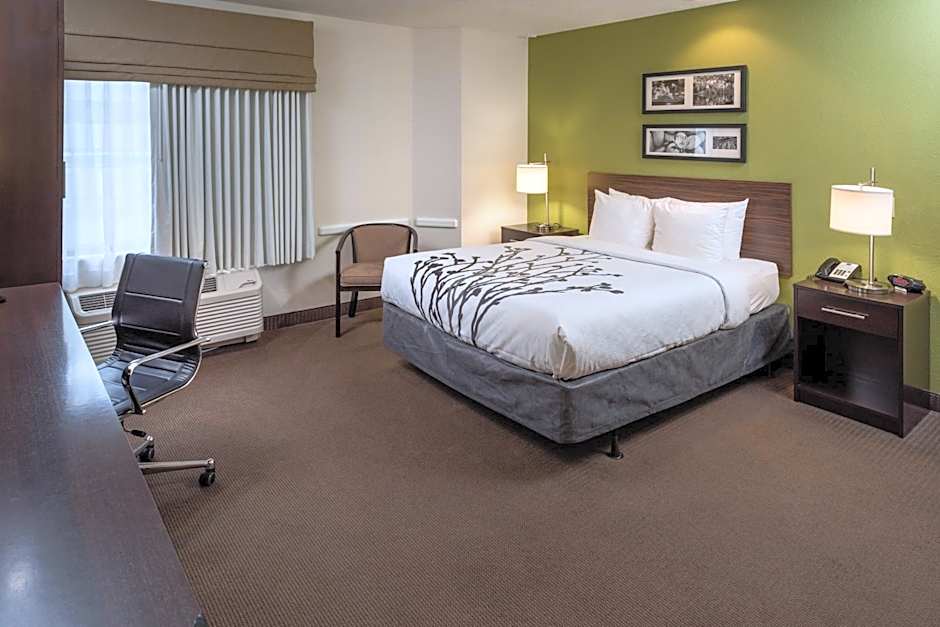 Photo 1 of 3 of 1 Queen Bed, Accessible, Roll in Shower