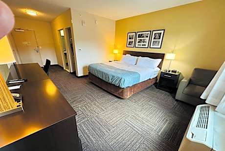 1 King Bed Non-Smoking