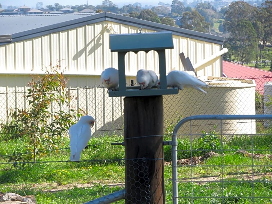 Mala Retreat Chardonnay Studio Immaculate and Comfortable