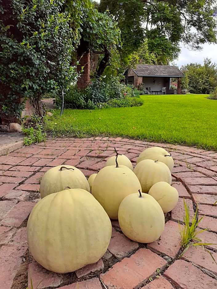 Gerald's Gift Guest House