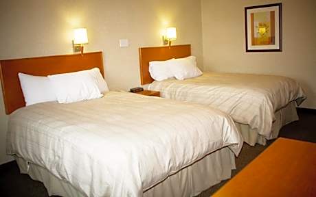 Double Room with Two Double Beds - Non-Smoking