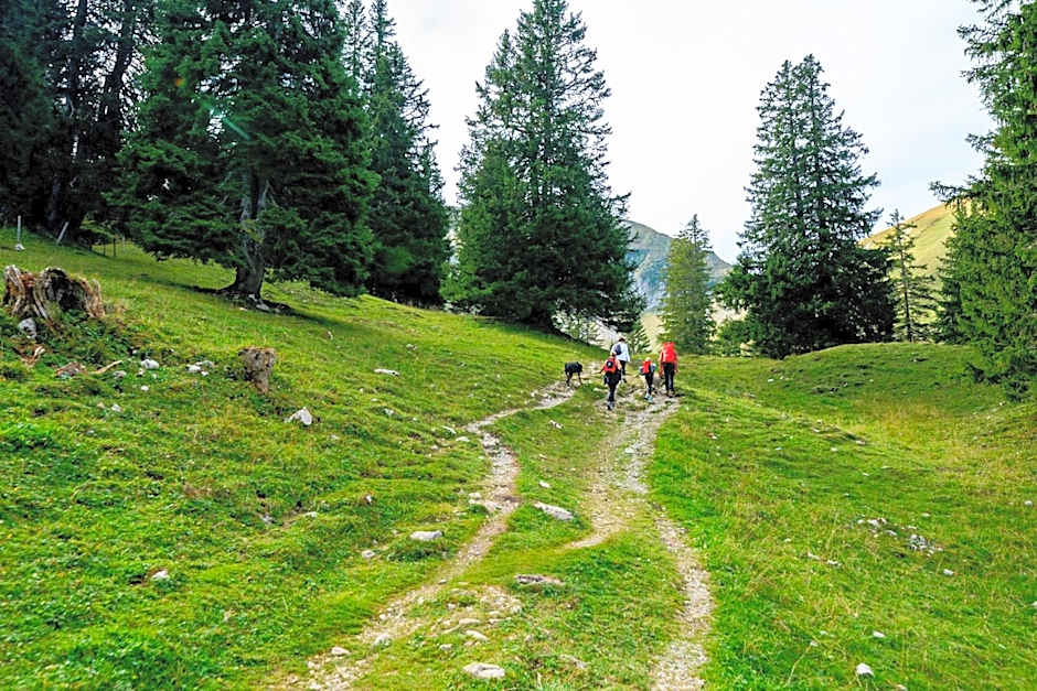 Hotel Sonne - Self Check-in