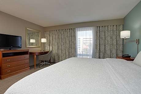 One-Bedroom King Suite with Sofa Bed - Non-Smoking