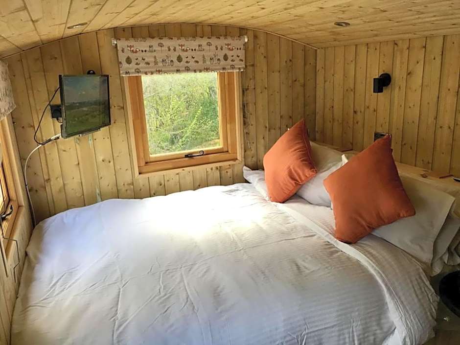 Highland Bear Lodge & Luxury Bear Huts