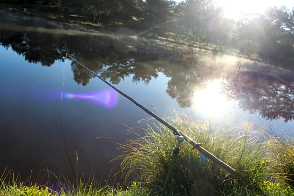 Chambre d’hôte - Ilse's Garden Chair