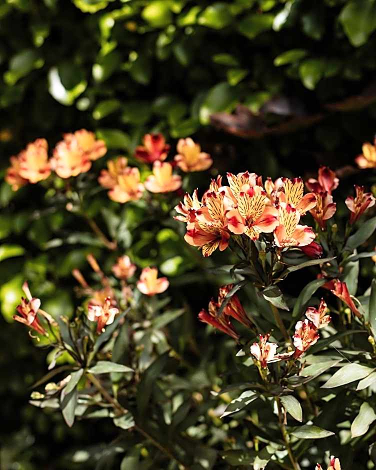 The Inn At Kingsbarns