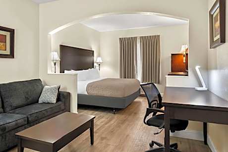 1 King Bed Suite Nonsmoking