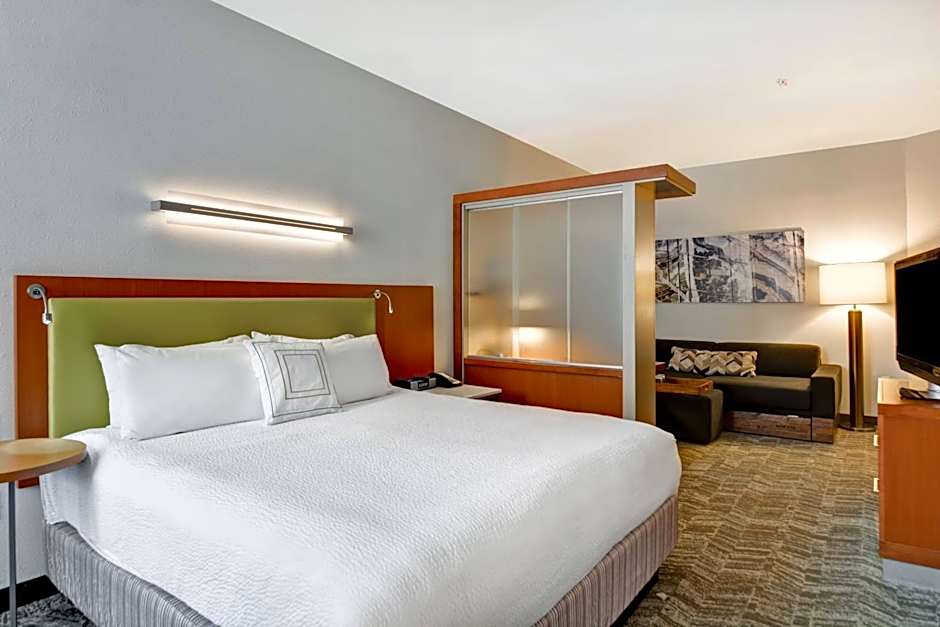 SpringHill Suites by Marriott Cincinnati Midtown