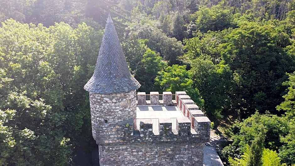 Le Château de Cambiaire