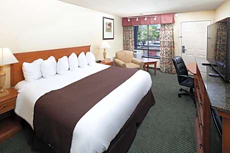 King Room with Roll-In Shower - Disability Access