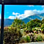Jackson's Retreat Alpine Holiday Park