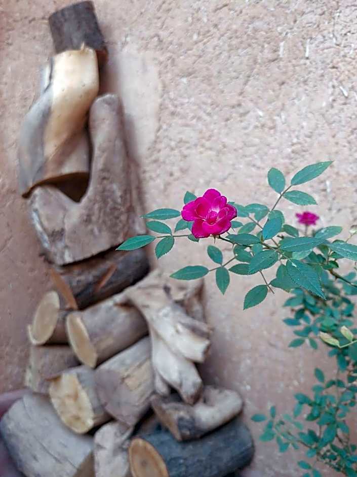 Les Jardins du M'goun