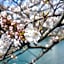 Hotel Fukui Castle - Vacation STAY 58682v